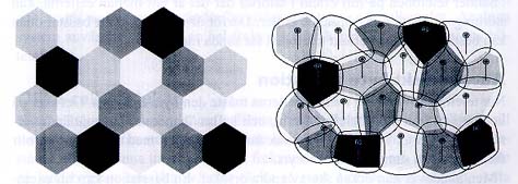 
Figur. Man t�nker sig att cellerna �r ordnade i ett sexsidigt m�nster.
I verkligheten f�r cellerna annan t�ckning, och �verlappar varandra.